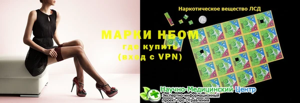 стаф Алзамай