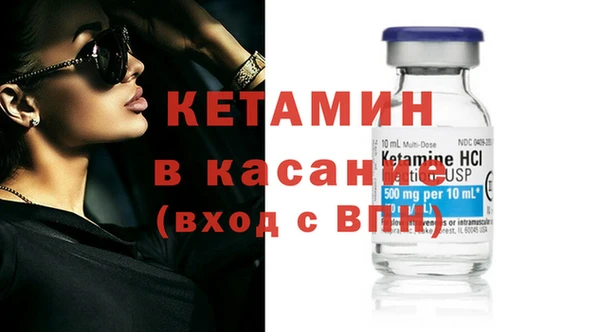 стаф Алзамай