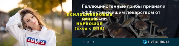 стаф Алзамай