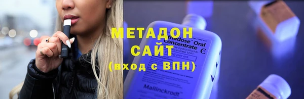 стаф Алзамай