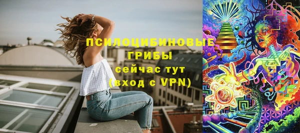 твердый Алексеевка