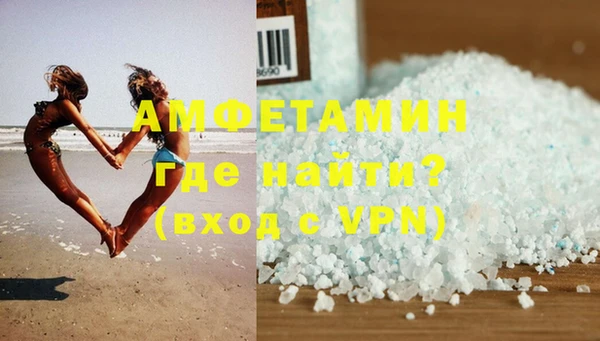 стаф Алзамай
