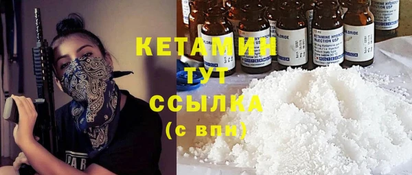 стаф Алзамай