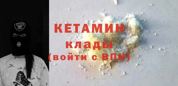 стаф Алзамай