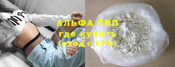 стаф Алзамай