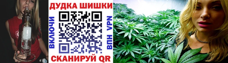 Канабис SATIVA & INDICA  мега ссылка  Иннополис 